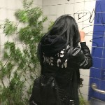 Интим-девушки, индивидуалки объявление но. 4227543: Вольная птица из северной столицы.