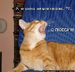 Девушка, ищу парня объявление но. 4285998: У меня уютно и тепло 8-911-992-97-30