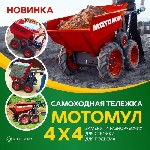 Предлагаем купить Мотомул - надёжную технику для перевозки грузов в любых условиях.  

Мотомул используется:  
- на строительной площадке;  
- в сельском хозяйстве;  
- в работах по ландшафтному  ...