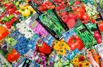 Предлагаем надомную работу (подработку) по вакансии упаковщица,  фасовщица семян.  Свободный график.  Область проживания значения не имеет.  Фасовка,  упаковка и сборка семян на дому.  Работа несложна ...