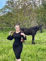 Интим-девушки, индивидуалки объявление но. 4335917: Алина +79825331812 🔞🍌🍑✅