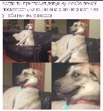 Парень, ищу девушку объявление но. 4237482: Хочу долго и страстно.  Желательно не на 1 раз