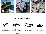 Разное объявление но. 3591731: Захотели выловить трофейного тунца?