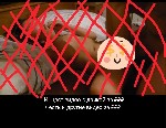 Разное объявление но. 4309294: Эксклюзив